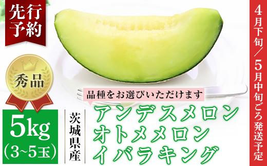 
            イバラキング or オトメメロン or アンデスメロン 秀品 3～5玉 約5kg 茨城県 JA水戸産 品種を選べる 082
          