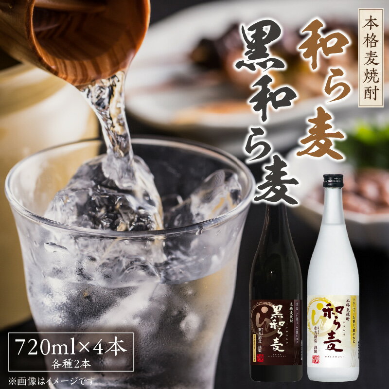 【ふるさと納税】楽丸酒造 和ら麦 黒和ら麦 720ml × 4本 セット 本格麦焼酎 各種 2本 フルーティ すっきり まろやか 上品 飲みやすい 唐揚げ サラダ おすすめ コク キレ 黒麹 うまみ 芳ばしい 角煮 マリネ 麦焼酎 アルコール 25度 お酒 焼酎 福岡県 久留米市 送料無料