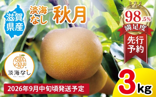 
                  【先行予約】【数量限定】淡海なし　秋月　3kg箱入り（サイズ：2L～7L　5～10個入り）【K130W】 梨 ナシ こだわりの梨 フルーツ 果物 旬の梨
                