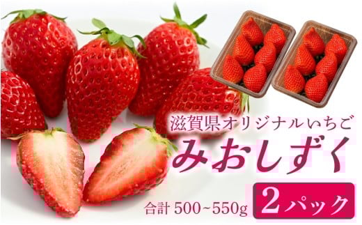 いちご（みおしずく）2パック [NN001] / 滋賀県 滋賀 大津市 フルーツ 果物 くだもの いちご 苺 イチゴ デザート イチゴ 苺 いちご