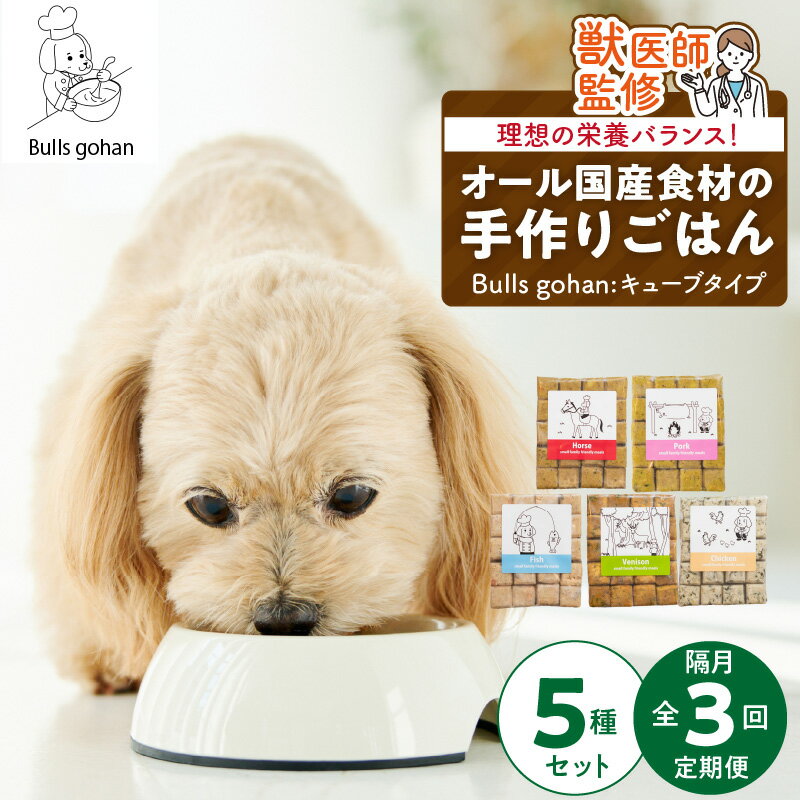 【ふるさと納税】定期便 無添加 ドッグ フード ブルズごはん CUBE 300g × 5袋 隔月 計3回 馬肉 チーズ 豚肉 鹿肉 魚 野菜 鶏 ダシ 雑炊風 5種類 キューブタイプ 国産 手作り ごはん 混ぜるだけ おやつ ローテーション 成犬 シニア犬 愛犬 冷凍 福岡県 久留米市 送料無料