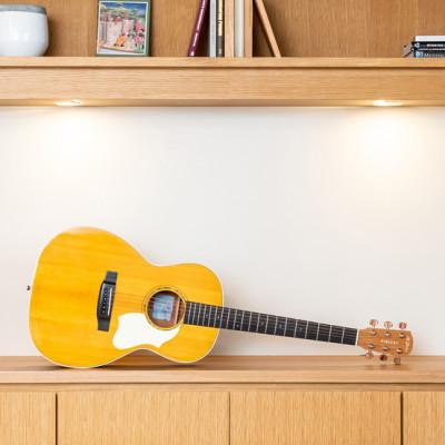 ふるさと納税 美濃加茂市 【アコースティックギター】K.Yairi VINCENT VN-3 STD MK