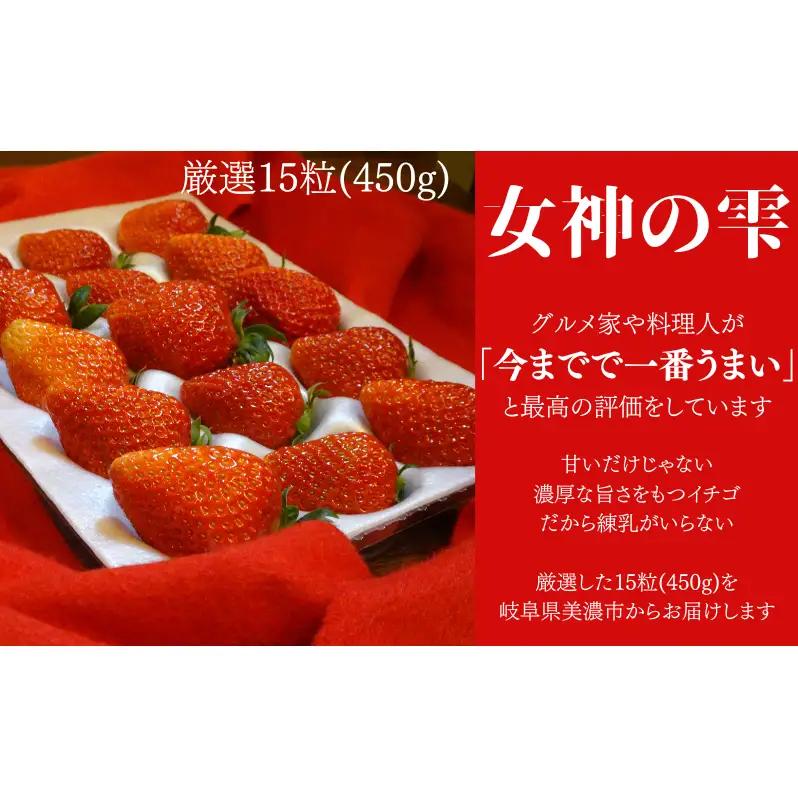 いちご 先行予約 女神の雫 450g 2027年 いちご