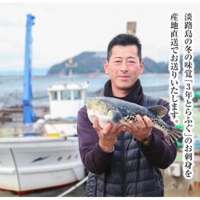 ふるさと納税 南あわじ市 【若男水産】淡路島3年とらふぐ活てっさ(2〜3人前) |  | 03