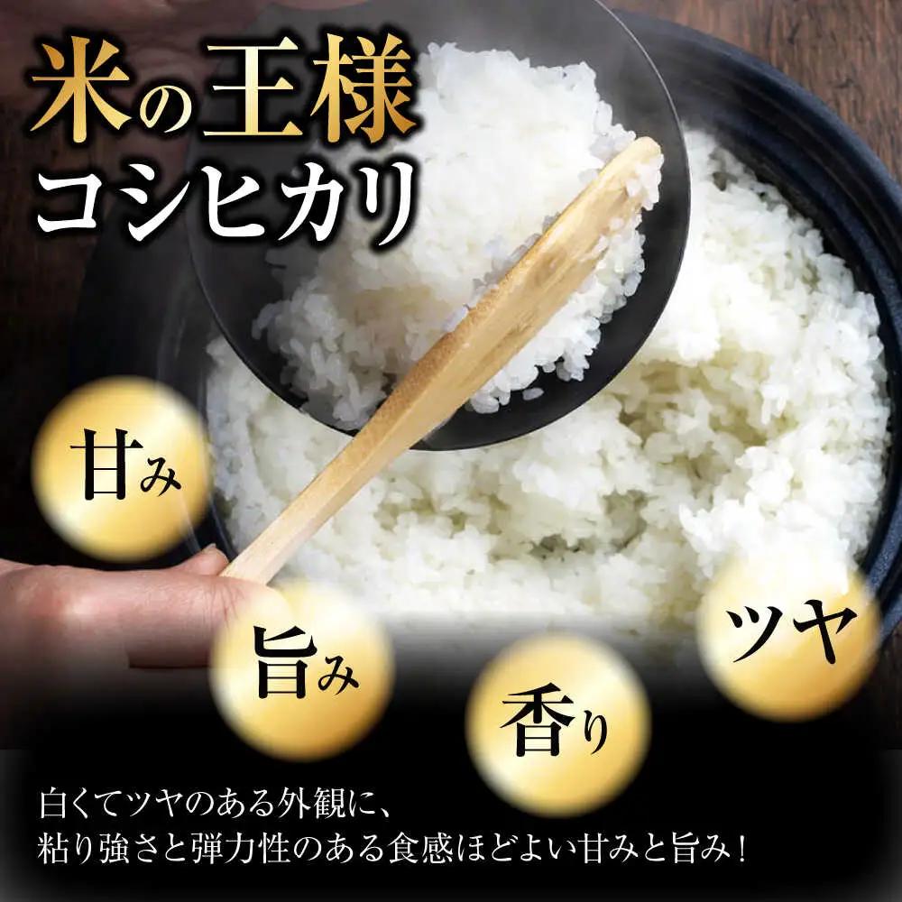 【令和7年産】こしひかり 10kg 【スピード発送】アグリ君田 [APDC002] コシヒカリ