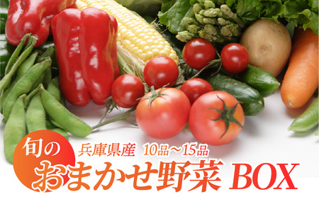 旬のおまかせ野菜BOX 10品～15品 単発便