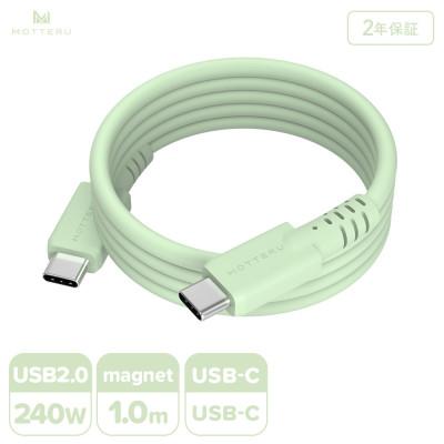 ふるさと納税 海老名市 マグネットシリコンケーブル C to C 1m ピスタチオ(MOT-MGSCC100)