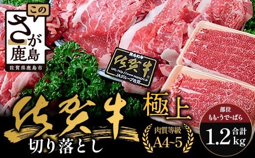 佐賀牛切り落とし【もも、うで、ばら】600g×2P(1.2kg)｜佐賀牛 和牛 国産牛 高級 ごちそう ギフト グルメ 贅沢 ふるさと納税 ブランド牛 佐賀県 鹿島市 お取り寄せ 牛肉好き必見 鹿島 もも うで ばら 切り落とし 牛肉 贅沢な食事　D-233
