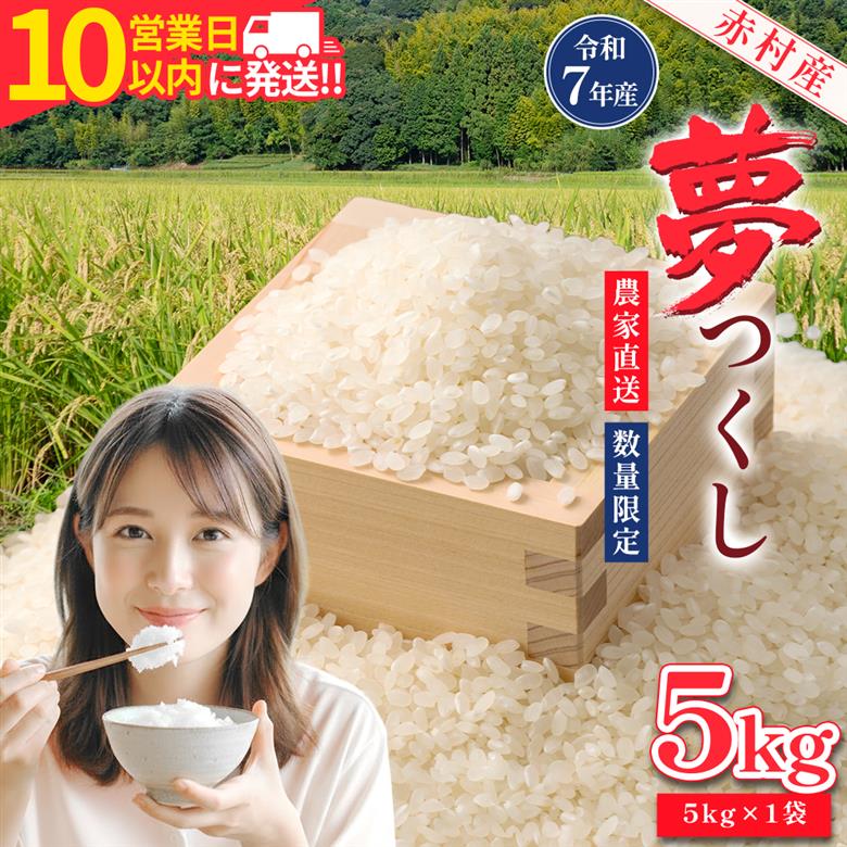 【10営業日以内に発送】赤村産米 農家直送【数量限定】 精米 夢つくし 5kg (品番:4U2-S)