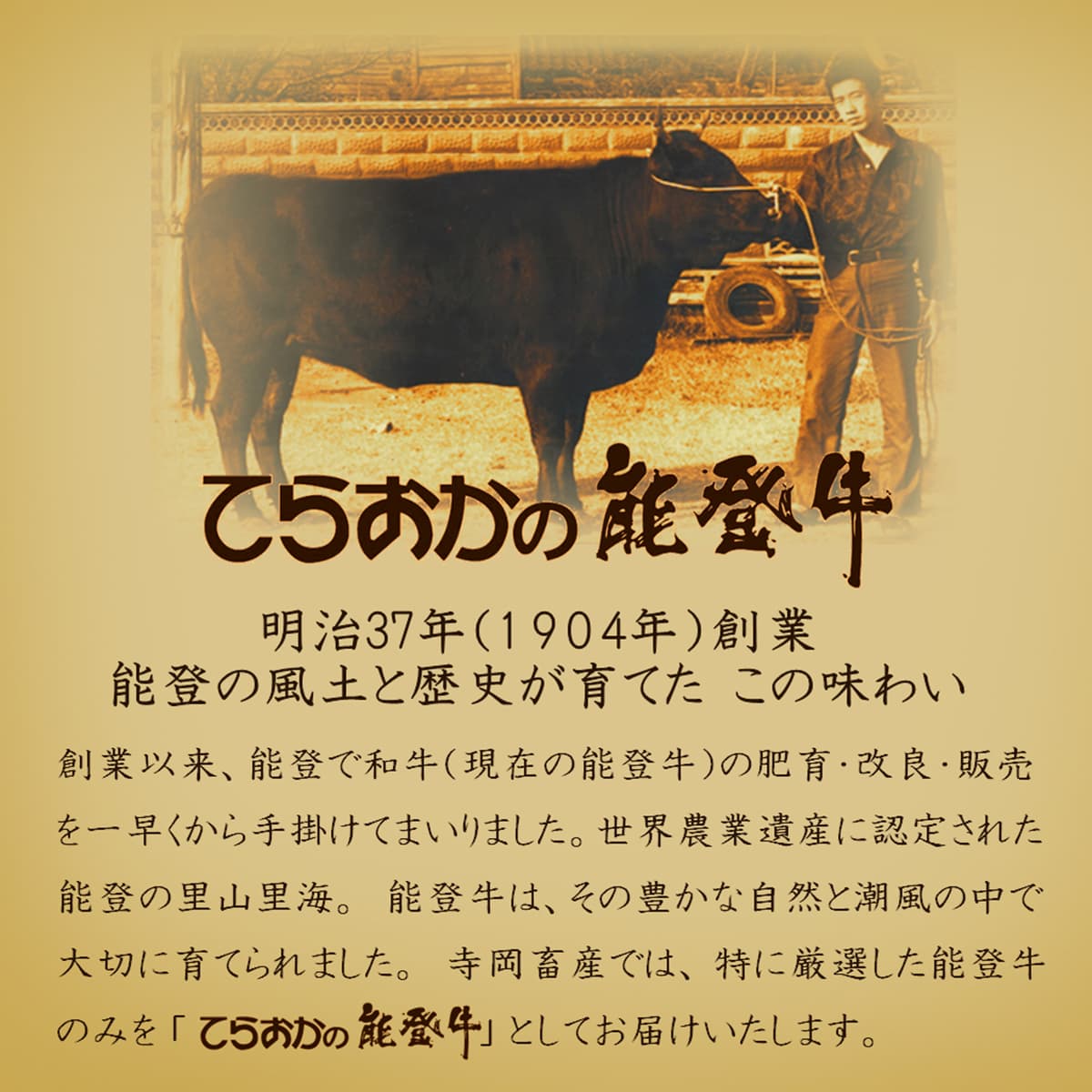 能登牛（4～5等級）ロースすき焼き用600g 牛肉 牛