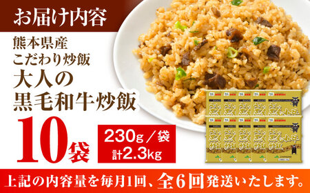 【全6回定期便】熊本県産 こだわり炒飯 大人の黒毛和牛炒飯 計2.3kg (230g×10)【ユーユーフーズ株式会社】[BHCS020]