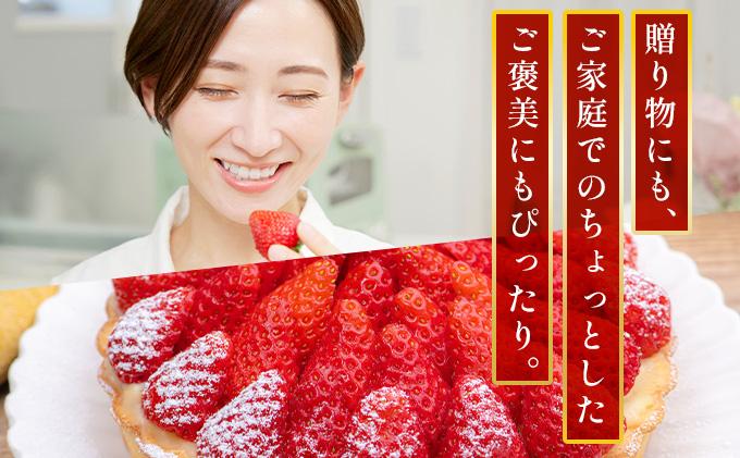 福岡県産 特別栽培 あまおう サイズいろいろMIX 約570g（約285g×2パック）【3月発送】　農園直送 アフター保証 先行予約 福岡産 送料無料 ケーキ ギフト お祝い 限定 季節限定 UN00