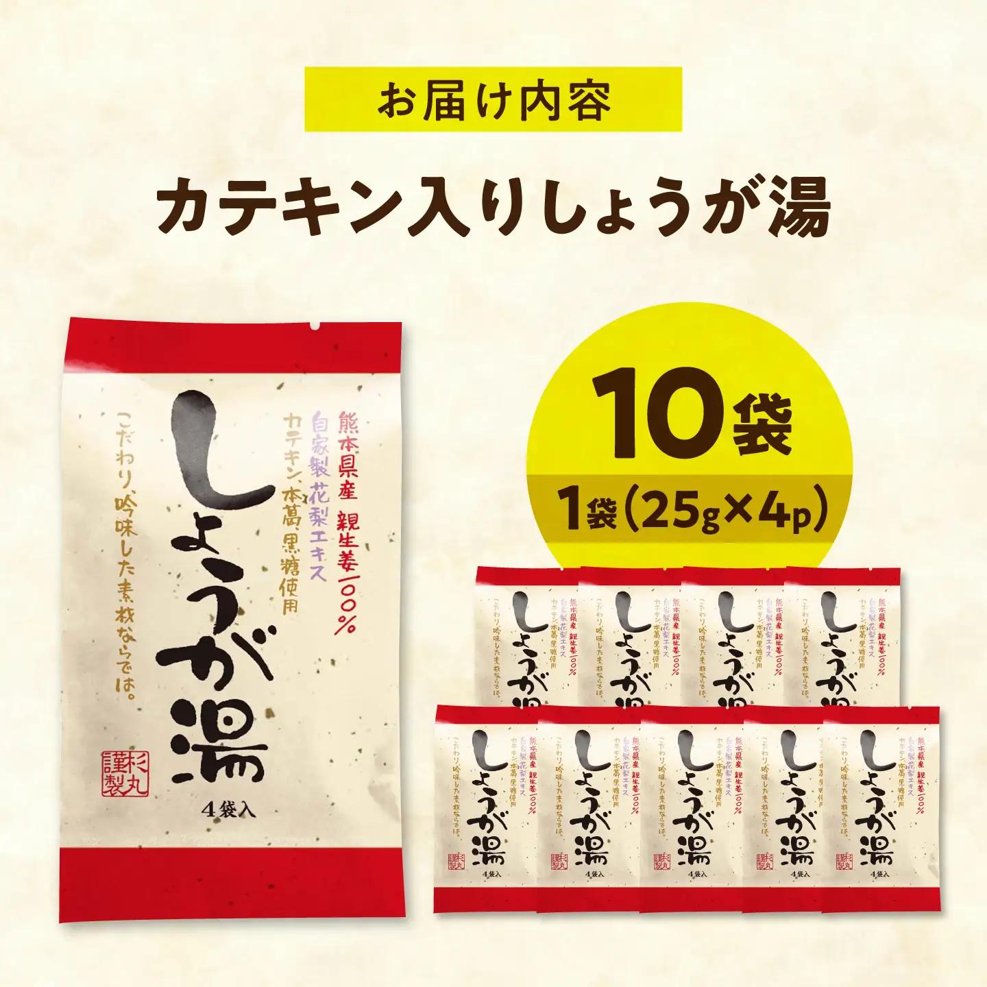 しょうが湯 カテキン入りしょうが湯 10袋入 [BAHD001] しょうが湯