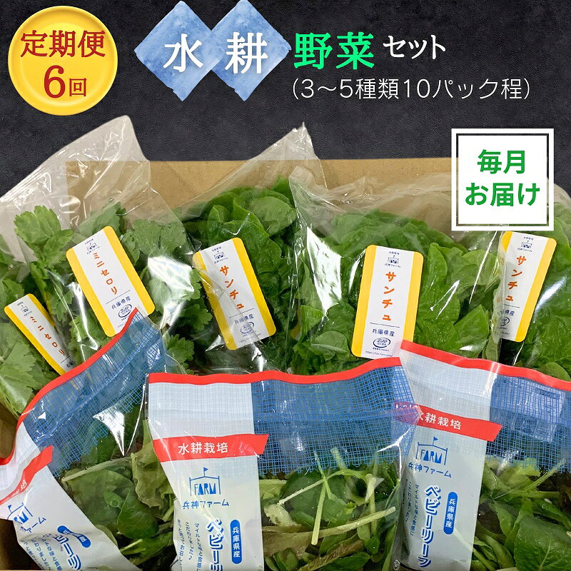 【ふるさと納税】サラダ 毎月お届け 【定期便6回】 3～5種類 10パック程 詰め合わせ 水耕野菜セット 播磨灘産 産地直送 サンドイッチ JGAP認証 季節の野菜 兵庫県播磨町　お届け：2026年7月上旬～8月下旬まで