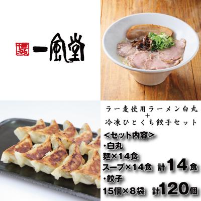 ふるさと納税 新宮町 【一風堂】白丸ラー麦麺14食とひとくち餃子8袋セット【豚骨ラーメン】.BA074