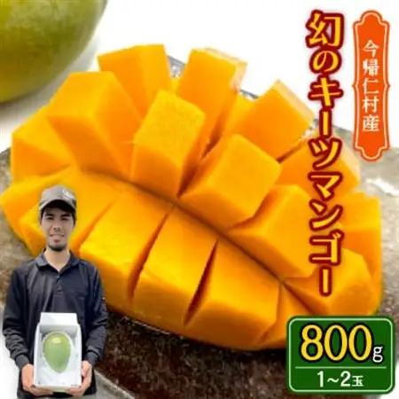 【先行受付・2026年8月から順次発送】仲本マンゴー園の幻のキーツマンゴー800g(1～2玉)【配送不可地域：離島】【1418218】