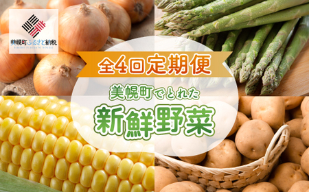 【定期便】先行予約 美幌町でとれた新鮮野菜～全4回～（2025年3月発送開始予定） 【 ふるさと納税 人気 おすすめ ランキング 野菜 とれたて 新鮮 ベジタブル セット 定期便 詰め合わせ 北海道 美幌町 送料無料 】 BHRG081