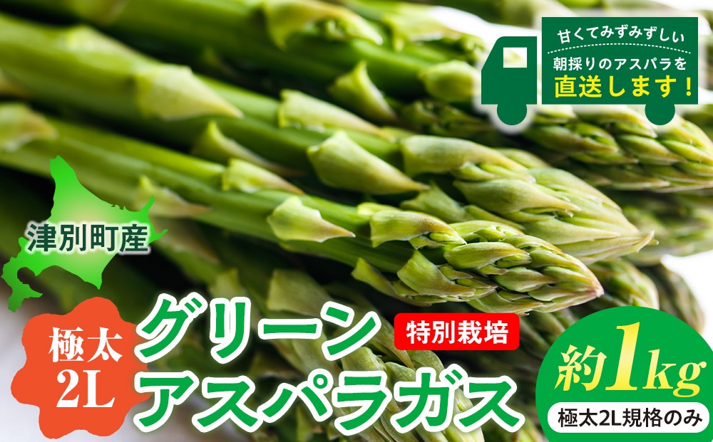 
            【先行受付】R8年産 アスパラガス （極太2L） 特別栽培 約1kg 細川農園 | 北海道津別町
          