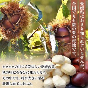 【先行予約】＜厳選 大粒むき栗 合計600g（200g×3袋）＞ くり 生栗 剥き栗 マロン フルーツ 果物 モンブラン 栗ご飯 栗きんとん 栗の甘露煮 秋の味覚 特産品 国産 宇都宮物産 愛媛県 西