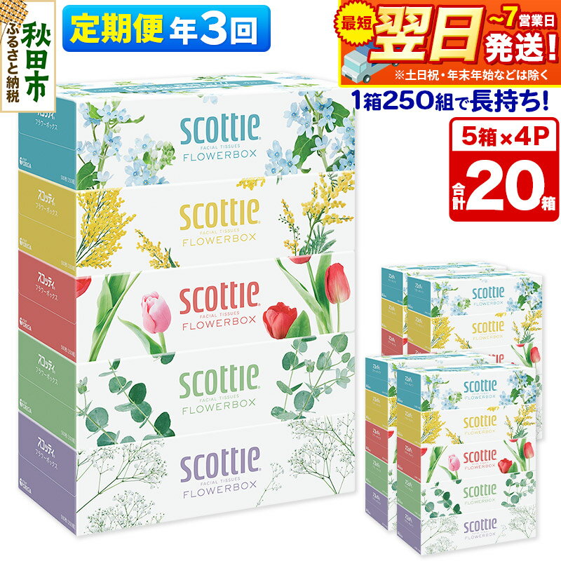 【ふるさと納税】《4ヶ月ごとに3回お届け》定期便 ティッシュペーパー スコッティ フラワーボックス250組 20箱(5箱×4パック) ティッシュ 秋田市オリジナル