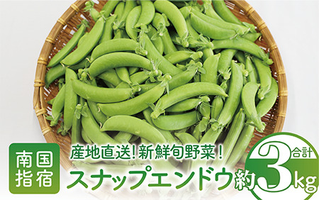 2026年2月上旬頃～発送【産地直送！新鮮旬野菜！】ご家庭用スナップエンドウ約3kg 指宿促成青果 A-415 スナップ エンドウ 野菜 旬 旬野菜 春 サラダ 天ぷら 炒め物 新鮮 指宿 鹿児島 いぶすき