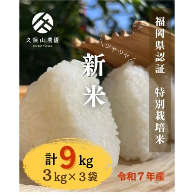 ふるさと納税 筑前町 令和7年産 特別栽培米【白米】 計9kg(3kg×3袋)精米したてを農家直送でお届け!