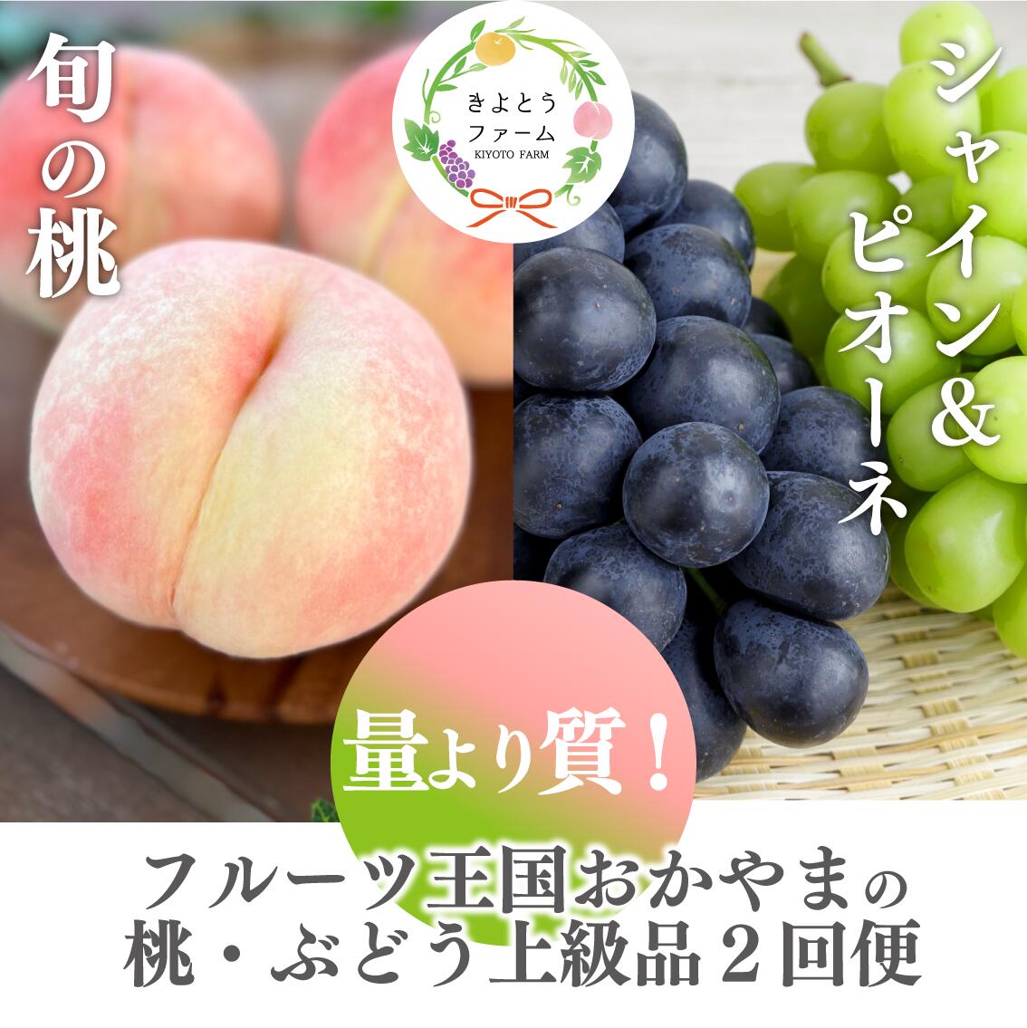 【ふるさと納税】量より質！ 果物定期便 桃(5-7玉) ピオーネ＆シャインマスカット(特大2房) 2回定期便 岡山 2026年発送 先行予約 果物 定期便 くだもの フルーツ ぶどう 葡萄 もも マスカット シャインマスカット 種無し お取り寄せ 産地直送 送料無料 岡山県