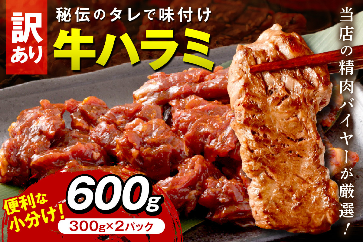 
            【訳あり】牛ハラミ（サガリ） 秘伝のタレ込み 味付け肉 600g（300g×2パック） ＜牛肉 訳あり はらみ さがり 味付け肉 小分け 個包装 牛肉 タレ漬け 手作り 焼肉 肉 牛ハラミ わけあり 訳有り ワケアリ 焼肉 日用品＞　YK00461C
          