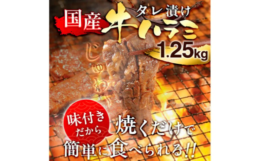 国産 特製たれ漬 牛ハラミ サガリ 1.25㎏ JX003-5