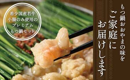 【3ヶ月定期便】博多もつ鍋 おおやま もつ鍋 しょうゆ味 3人前 醤油 もつ 鍋