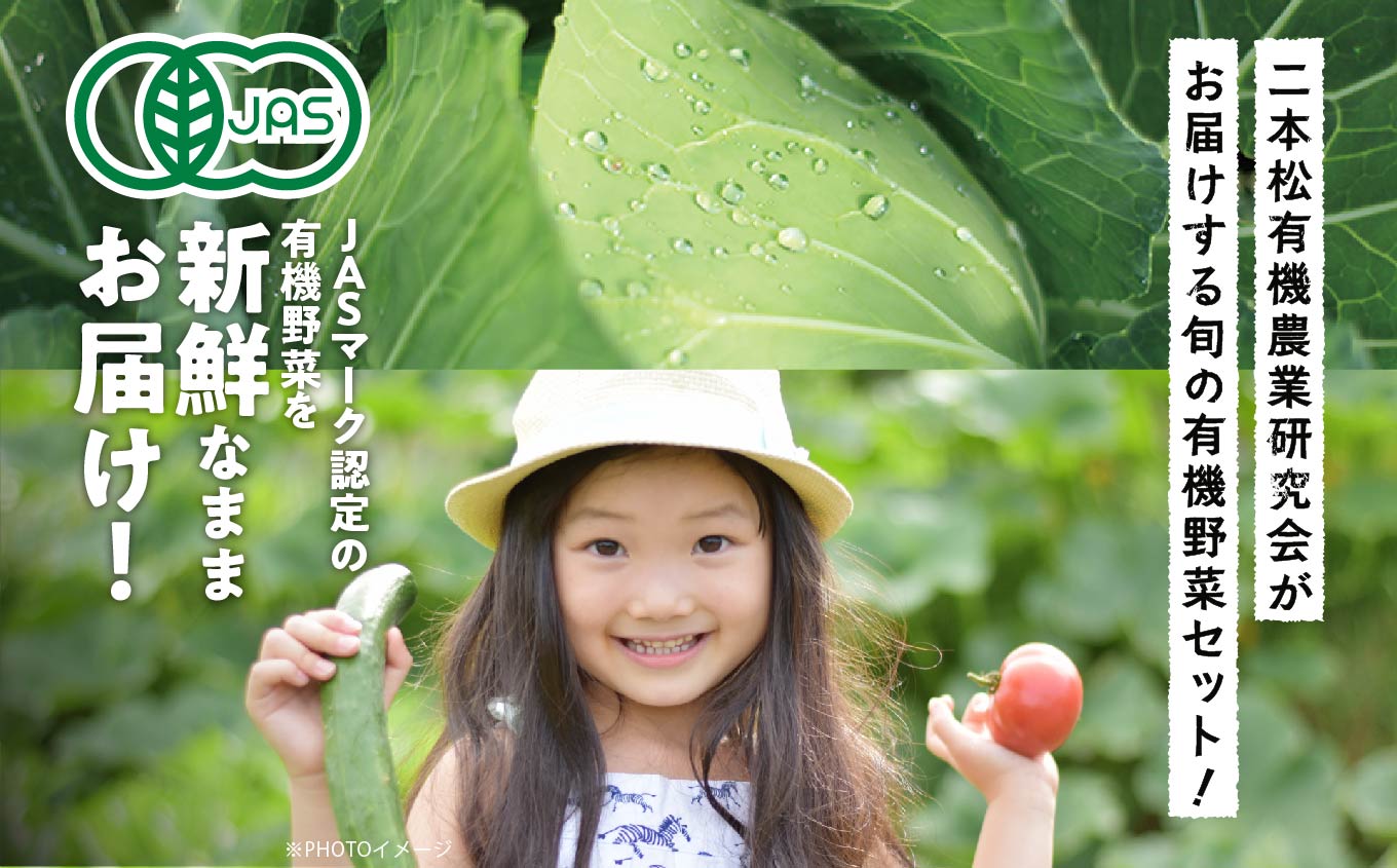 【定期便】全3回！季節の有機野菜セット【一般社団法人二本松有機農業研究会】