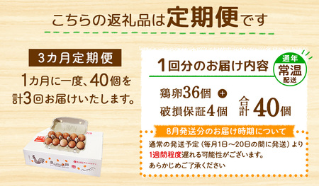 【3回定期便】卵 鶏卵 霧島山麓育ち こだわり卵『康卵』 40個入り×3回 合計120個 卵 たまご 玉子 タマゴ 生卵 鶏卵 玉子焼き 卵焼き ゆで卵 ゆでたまご エッグ TKG 卵かけご飯 たまご