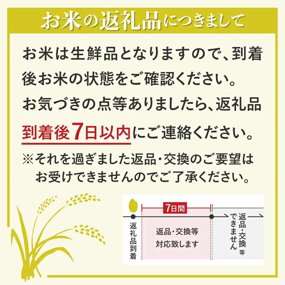 令和8年産 米 石神米 コシヒカリ5kg / 新米 米 コシヒカリ