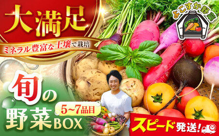 すずなり採れたて野菜BOX（5～7品目）野菜セット 野菜 やさい 野菜 野菜 野菜 [AKCE001] 