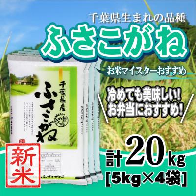 ふるさと納税 大網白里市 【新米 令和8年産】千葉県産「ふさこがね」精米 20kg(5kg×4袋)