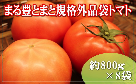 
                  まる豊とまと規格外品袋トマト（800g×8袋）
                