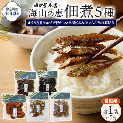 ふるさと納税 小田原市 海山の恵 つくだ煮5種セット まぐろ わかさぎ きゃらぶき 椎茸昆布 磯くるみ 各1袋 小田原市