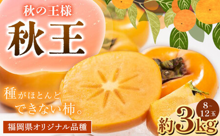 C21 福岡県産 ブランド柿・秋王 約3kg(8～12玉)  【2024年10月上旬～11月下旬発送予定】 柿 甘柿 秋王 果物 くだもの フルーツ