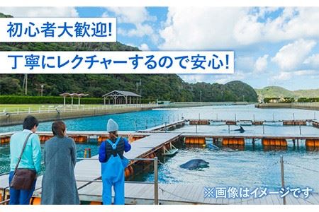 SUP体験 《壱岐市》【壱岐イルカパーク＆リゾート】[JBF008] 22000 22000円 