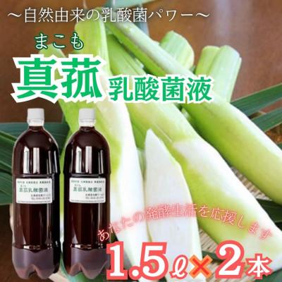 ふるさと納税 西桂町 真菰(まこも)乳酸菌液 1.5L 2本セット