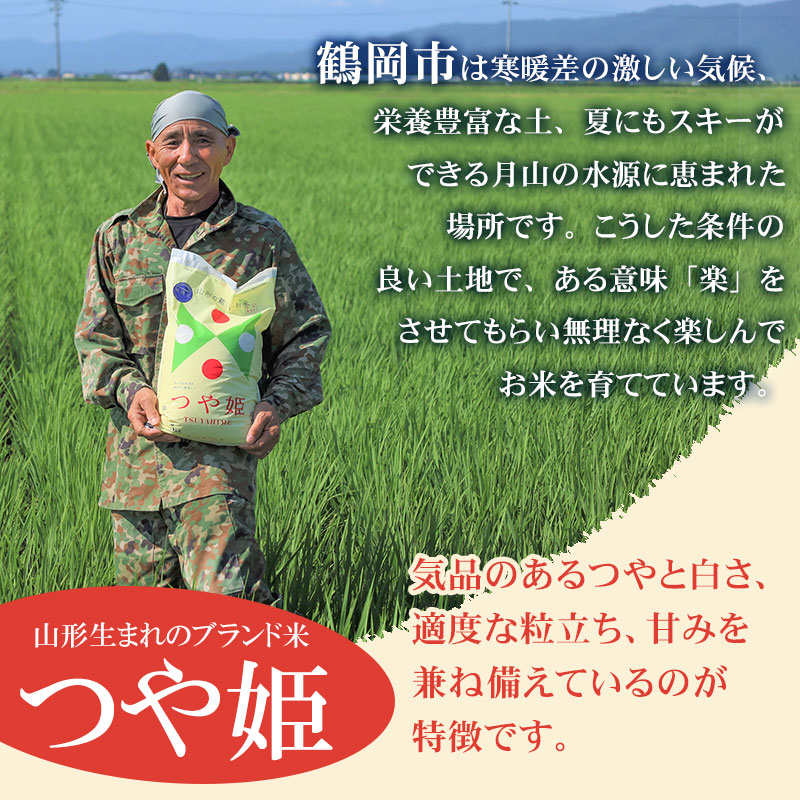 【令和8年産先行予約】【3ヶ月定期便】工藤さんの特別栽培米 つや姫無洗米 5kg×3回（計15kg） 山形県鶴岡市　株式会社サンエイファーム　| つやひめ 5キロ 無洗米 米どころ 庄内米 ブランド米