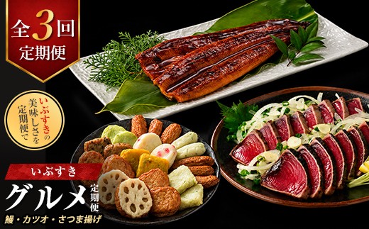 
                  【全３回定期便】鰻・カツオ・さつま揚げ いぶすきグルメ定期便 (IBZ999-021) 鰹 かつお しそ天 いわし天 れんこん天 玉ねぎ天 うなぎ蒲焼 ウナギ 備長炭
                