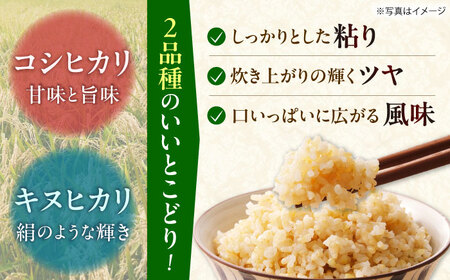 玄米 令和7年産 はるみ 10kg 玄米 [BDBF003-2]