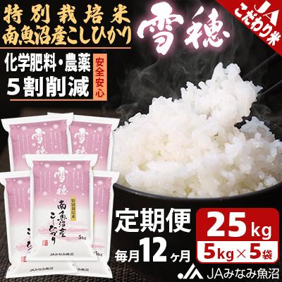 ふるさと納税 南魚沼市 【毎月定期便】特別栽培米南魚沼産こしひかり「雪穂」 精米 25kg(5kg×5袋) 全12回