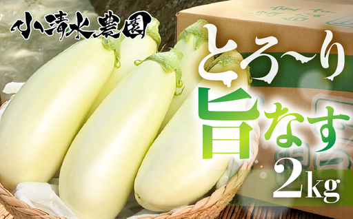 《先行予約》とろ～り旨なす 2kg 茄子 なす 白茄子 白なす 白ナス ナス 旨い 甘い 艶 ツヤ ハリ 揚げ物 揚げ茄子 焼茄子 麻婆茄子 輝楽 愛知県 豊橋市