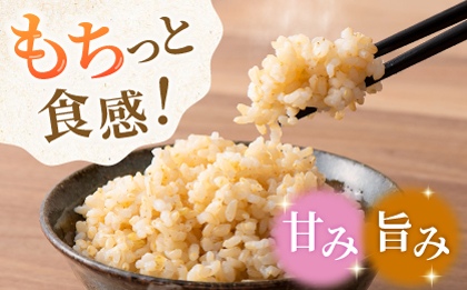 合鴨玄米 5kg 【株式会社パストラル】 [ZAR028]