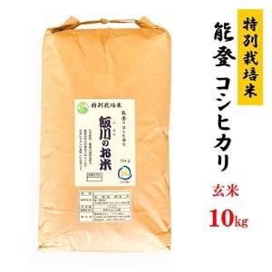 【令和6年産】能登のコシヒカリ　飯川のお米　10kg(玄米10kg×1袋)【1086156】