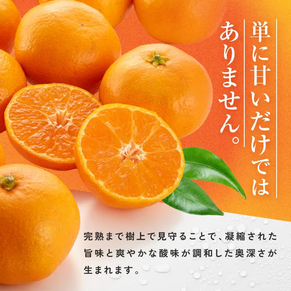 [秀品]有田のブランド「賢みかん」5kg(Mサイズ) ［2026年11月中旬頃より順次発送］