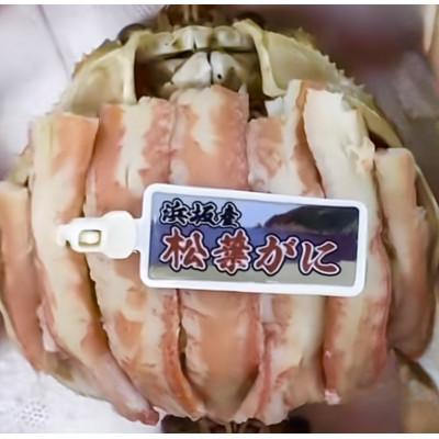 ふるさと納税 京丹後市 松葉ガニ甲羅盛　3L