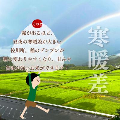 ふるさと納税 佐川町 〈2025年10月中旬〜12月末頃お届け〉【ヒノヒカリ又はにこまる】新米 約5kg 高知県佐川町産 |  | 03